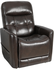 Theorem Ealing Recliner Lift Chair