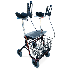 Redgum Walking Tutor with Basket & Tray