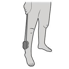 Redgum Long Handle Sponge