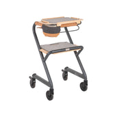 Saljol Indoor Walker