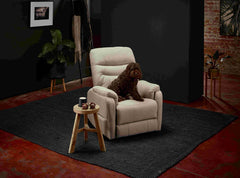 Theorem Alperton Petite Recliner Lift Chair