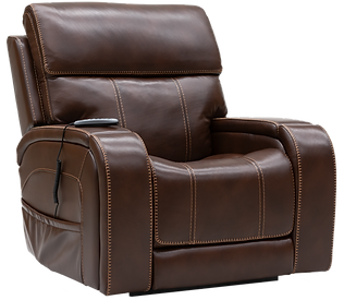 Theorem Abingdon Recliner Lift Chair