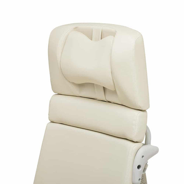 Cobalt Health Gaia Lift-Up Chair