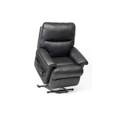 Drive DeVilbiss Borg Dual Motor Lift Chair