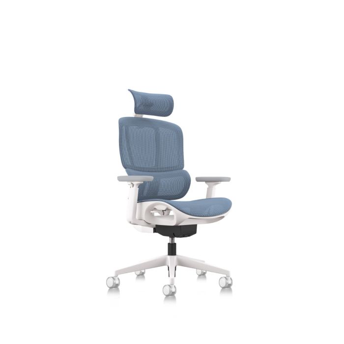 Apollo Bifma Ergonomic Task Chair by Humb