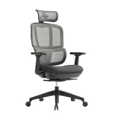 Apollo Bifma Ergonomic Task Chair by Humb