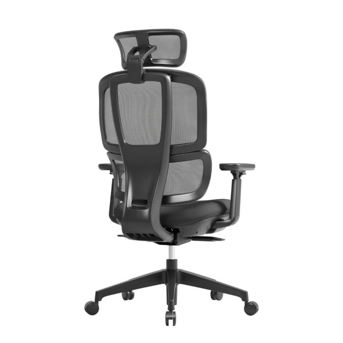 Apollo Bifma Ergonomic Task Chair by Humb