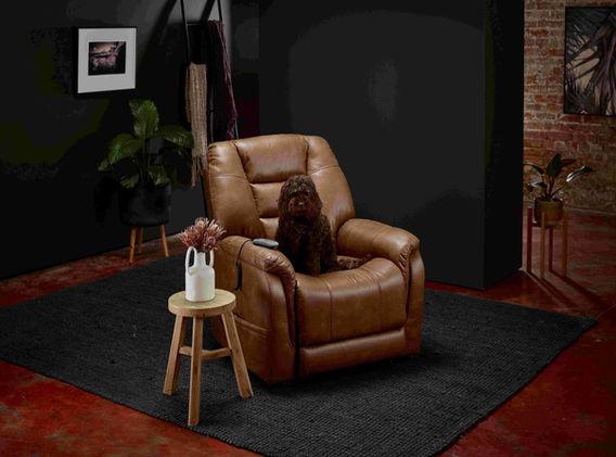 Theorem Mercer Recliner Lift Chair
