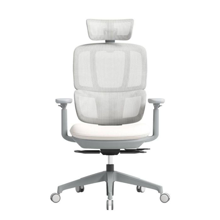 Apollo Bifma Ergonomic Task Chair by Humb